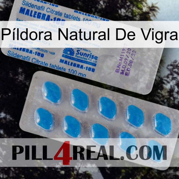 Píldora Natural De Vigra new15.jpg